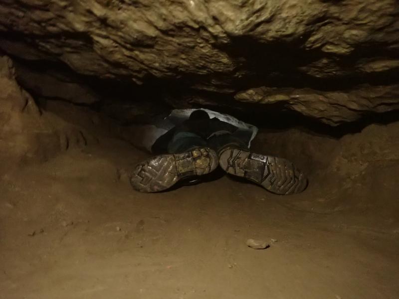 Thumbnail of photo from this article